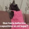 Memes 31 8