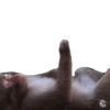 Memes 31 5