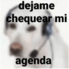 dejame chequear mi agenda