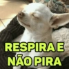 MEMES E DEBOCHE 👍🏻 7