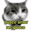 GATINHOS SHITPOST  6