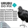 FAZOPIX💠 11