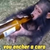 Vou encher a cara