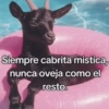 Siempre cabrita mistica, nunca oveja como el resto.