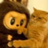 🧿Gatitos Gatos Miau🐱🐈 21
