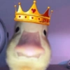 Patos Random 🦆🤣 8