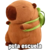 Capibara capibara capibara 8
