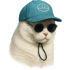 ✨️ Modo Gato 🐈🐱🐈‍⬛ 7