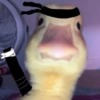 Patos Random 🦆🤣 7