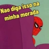 Homem aranha 13