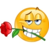 Os emojis mais usados 😜 7