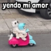 yendo mi amor