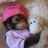 Monkey s 15
