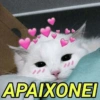 APAIXONEI