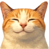 ✨️ Modo Gato 🐈🐱🐈‍⬛ 24