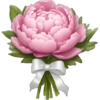 IPhone emoji Primavera2 🌸🩷🌸 8