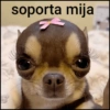 💭Frases & Memes🤣 9
