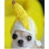 Tierno bebé 23