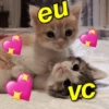 Cheio de amor 🤩❤️ 14
