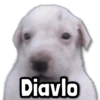 Diavlo