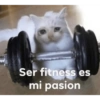 MEMES MAROMBAS💪 11