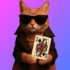 Cat cute 8