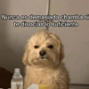 Nunca es demasiada chamba si @perraruin te disocias lo suficiente