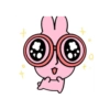 Pink korea rabbit  23
