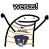 🐯Pumas 🐯⚽ 10