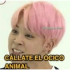@bangtanwainn CÁLLATE EL OCICO ANIMAL