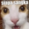 siapa sangka