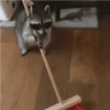 Más Animalitos!  🙊🐕 5