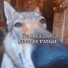 MA oh bea LOCH Hueles a cero ganas de trabajar
