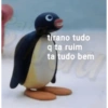 Pacote para tirar onda 🌊 6