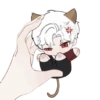 Cute cat sylus 😽 14