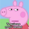 Peppa Pig ✨🐽MEMES 16