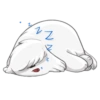 Beloni cute dog - Perro 17