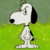 Snoopy. | @ocenferios  Haki. 9