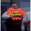 Todo meu amor NEW YORK CANADA