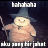 Kucing penyihir 6