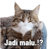 Jadi malu.!?