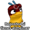🐛🪴 BAJOTERRA 🪴🐛 12