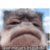 Memes 31 16