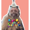 HAPPY BIRTHDAY 5