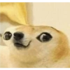 Tierno bebé 15