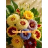 Good morning 33