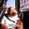 Rreacciones para SÁBADO 6 17