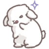 Kelinci lucu 🐰 9