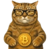 ✨️ Modo Gato 🐈🐱🐈‍⬛ 14