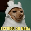 CACHORROS ENGRAÇADINHOS 🐶 8